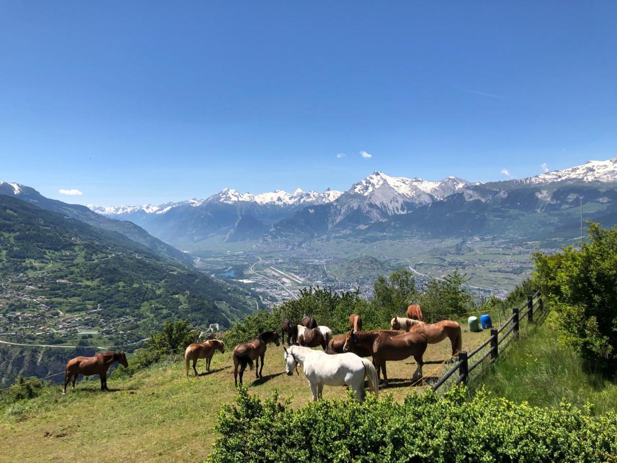 Hotel Mont-noble Nax